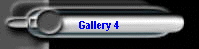 Gallery 4