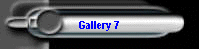 Gallery 7