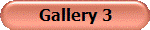 Gallery 3
