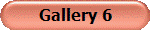 Gallery 6
