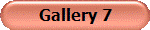 Gallery 7
